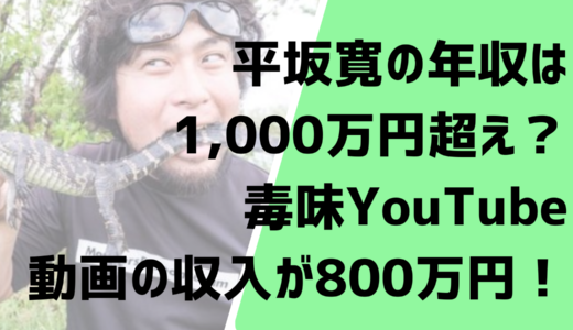 平坂寛の年収は1,000万円超え？毒味YouTube動画の収入が800万円！